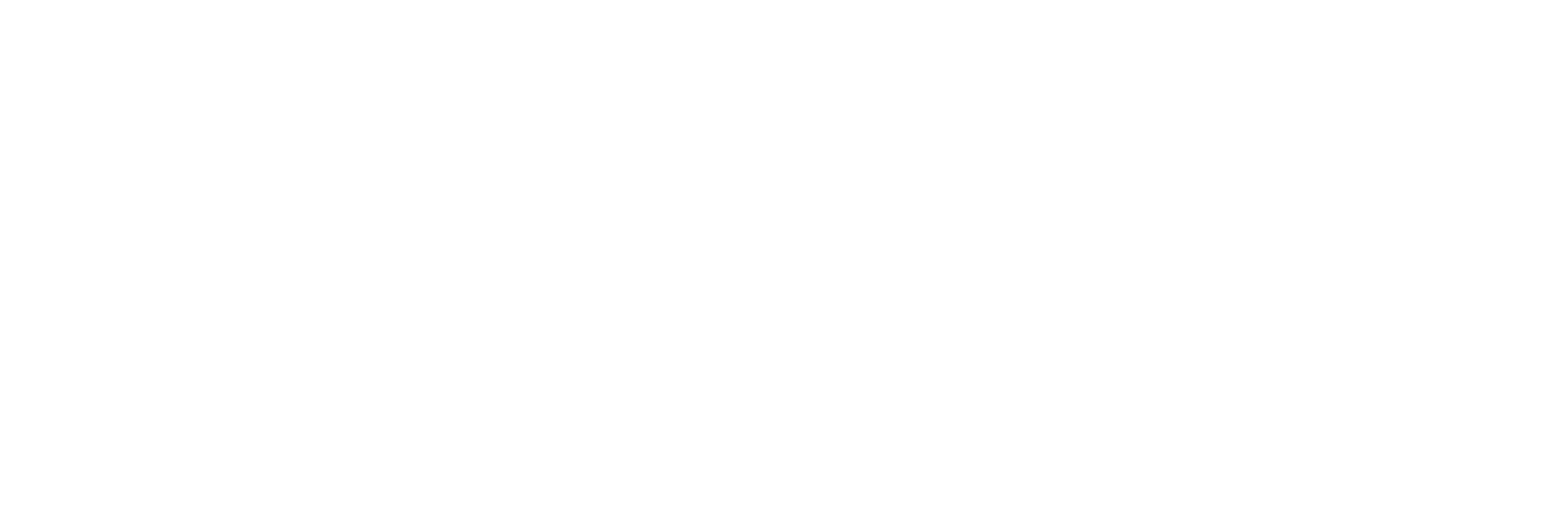 Logo_NovaPinto (1)